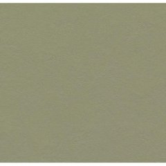 Натуральный линолеум Marmoleum rosemary green