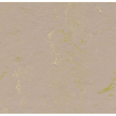 Натуральний лінолеум Marmoleum golden strokes, 2 м