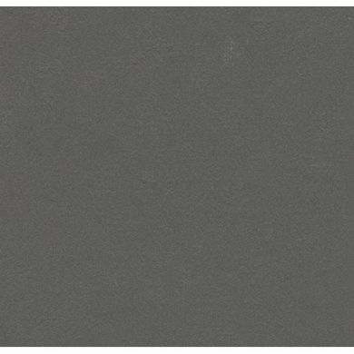 Натуральний лінолеум Marmoleum grey iron, 2 м