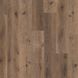 Mud Rustic Oak